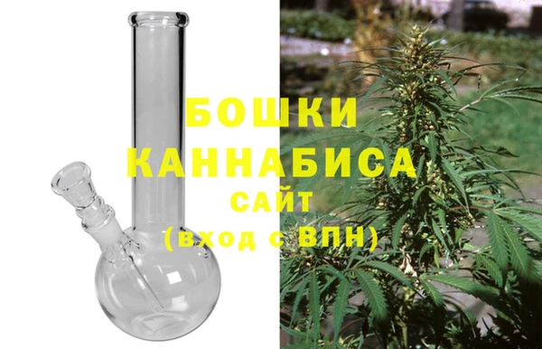 индика Бронницы