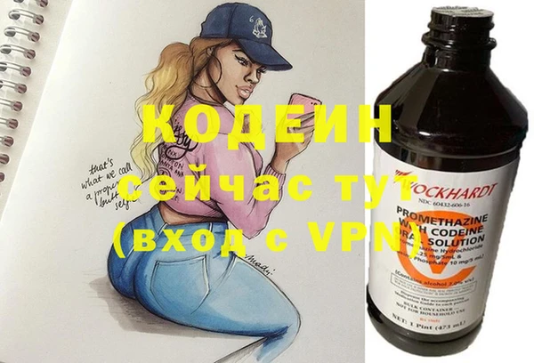 дурь Бородино