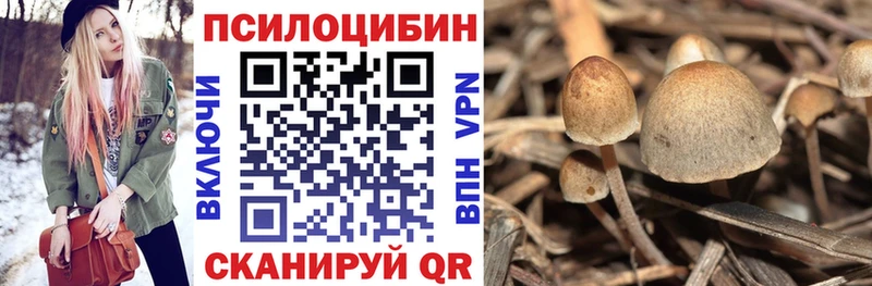 Галлюциногенные грибы Cubensis  Балахна 